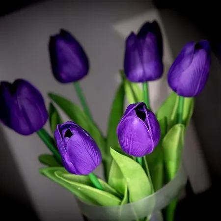 Black And White - Dob Utca Apartment *