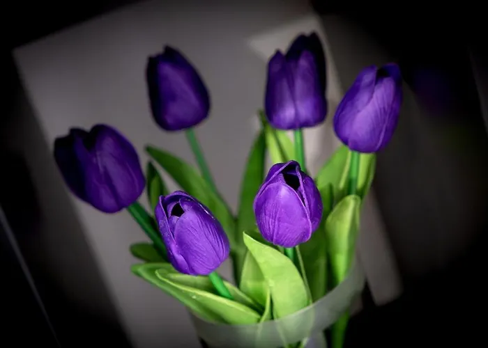 Black And White - Dob Utca Daire *